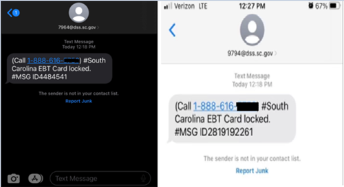 SCAM EBT Text Message Example