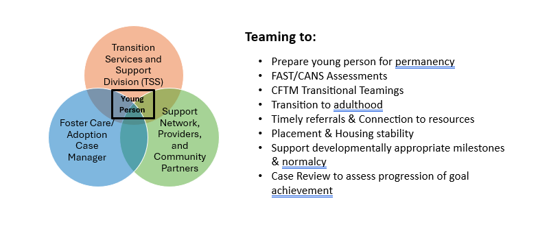 TSS Division Staff - Teaming to.png
